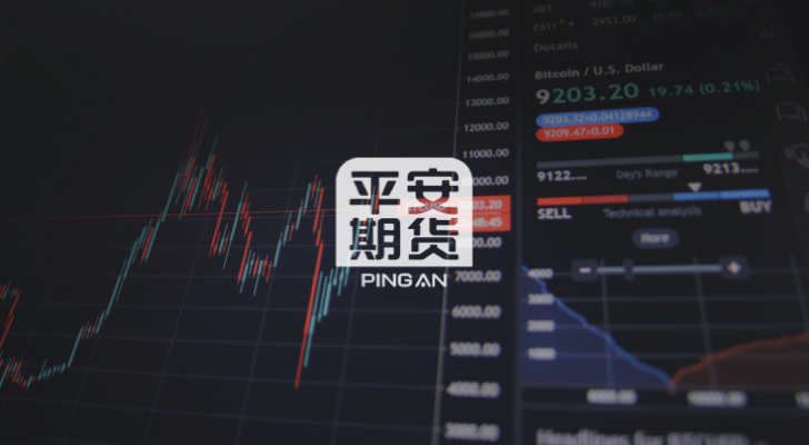 [Case Study] - pingan2